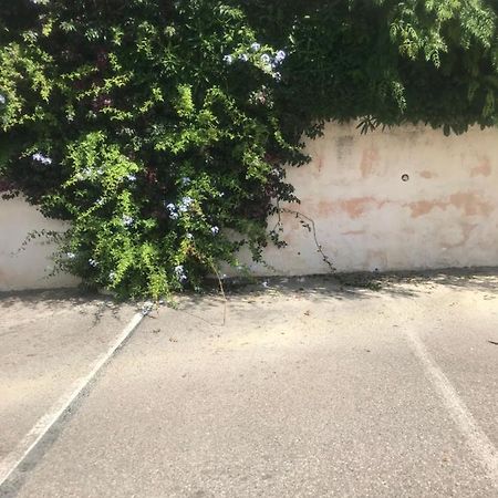 Studio 2 Adultes 2 Enfants Sanary Sur Mer A 800M De La Mer Εξωτερικό φωτογραφία