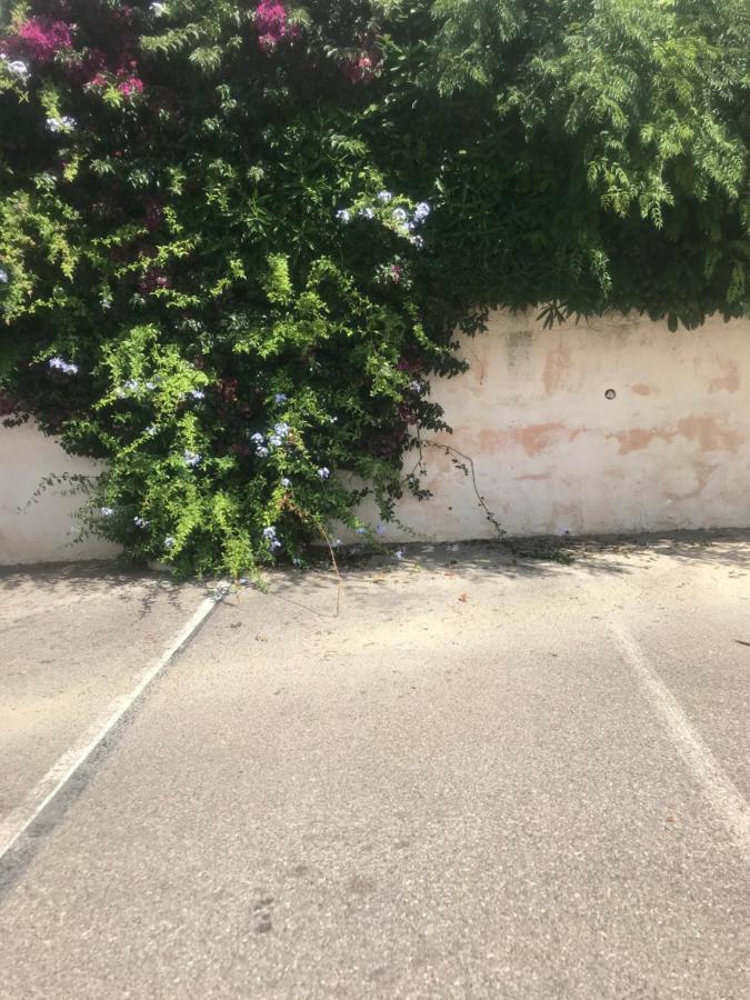 Studio 2 Adultes 2 Enfants Sanary Sur Mer A 800M De La Mer Εξωτερικό φωτογραφία
